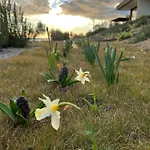 Monte Piccolo Bed & Breakfast Buje