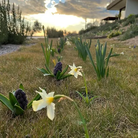 Monte Piccolo Bed & Breakfast Buje