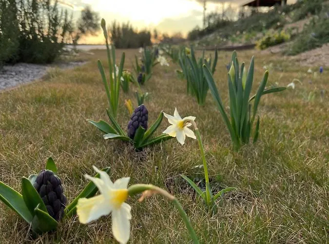 Monte Piccolo Bed & Breakfast Buje